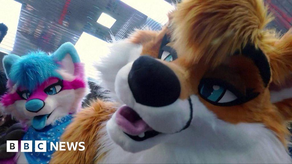 FurFest: Inside the world's 'largest' furry convention