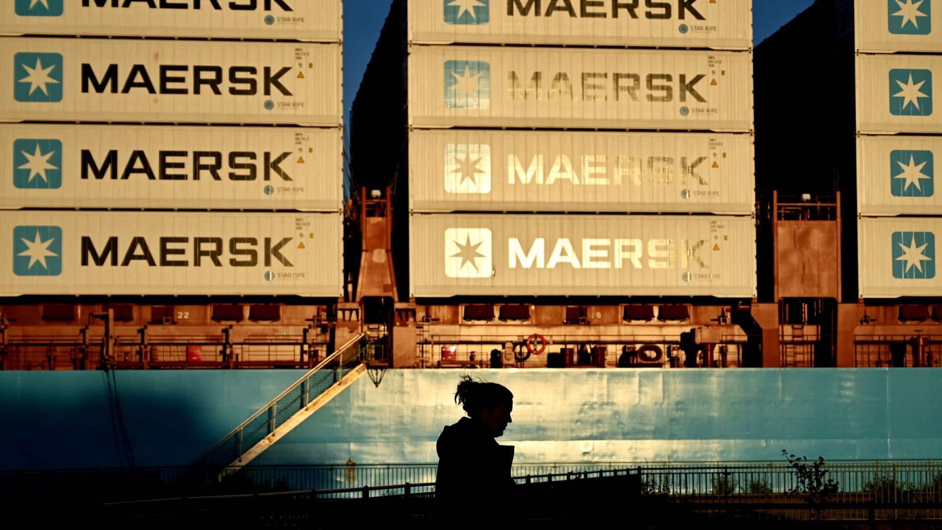 Shipping giant Maersk is seeing tentative signs of a bounce back in global trade