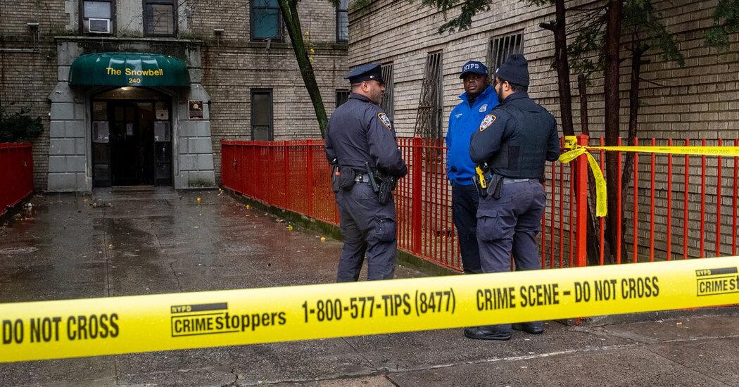 Deaths of 5-Year-Old Twins in Bronx Apartment Remain a Mystery