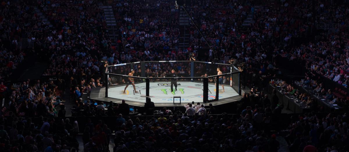 UFC 257: Poirier vs McGregor 2 (Drive In Concert Experience)